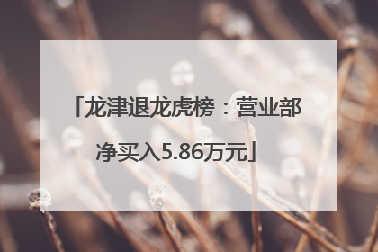 龙津退龙虎榜：营业部净买入5.86万元