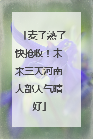 麦子熟了快抢收！未来三天河南大部天气晴好