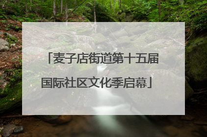 麦子店街道第十五届国际社区文化季启幕