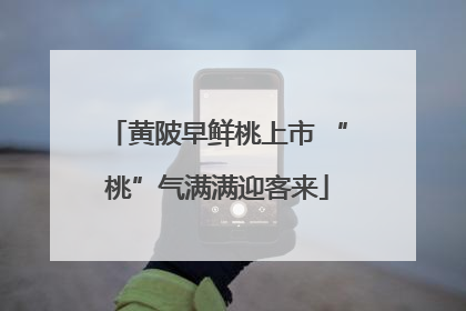 黄陂早鲜桃上市 “桃”气满满迎客来
