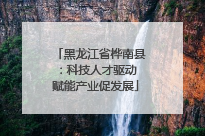 黑龙江省桦南县：科技人才驱动 赋能产业促发展