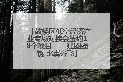 鼓楼区低空经济产业专场对接会签约18个项目——建圈强链 比翼齐飞