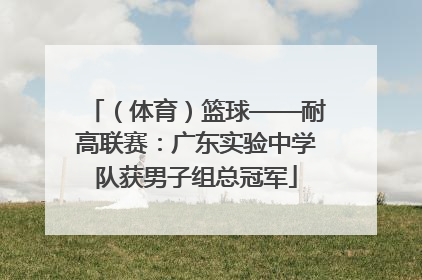 （体育）篮球——耐高联赛：广东实验中学队获男子组总冠军