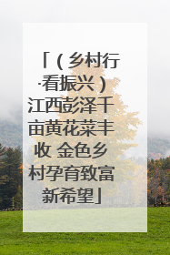 （乡村行·看振兴）江西彭泽千亩黄花菜丰收 金色乡村孕育致富新希望