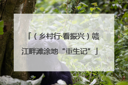 （乡村行·看振兴）赣江畔滩涂地“重生记”
