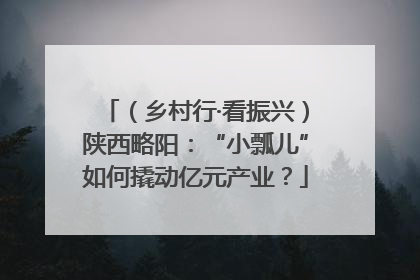 （乡村行·看振兴）陕西略阳：“小瓢儿”如何撬动亿元产业？