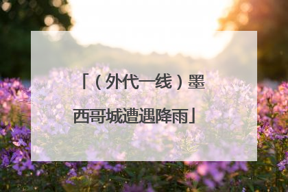 （外代一线）墨西哥城遭遇降雨
