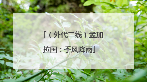 （外代二线）孟加拉国：季风降雨
