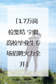 1.7万岗位集结 宁夏高校毕业生专场招聘火力全开