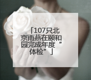 107只北京雨燕在颐和园完成年度“体检”