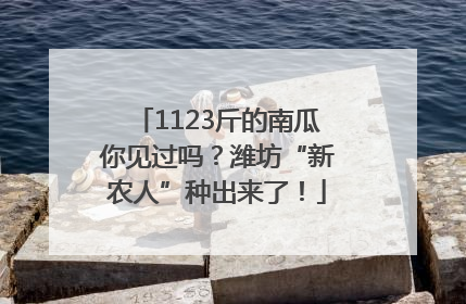 1123斤的南瓜你见过吗？潍坊“新农人”种出来了！