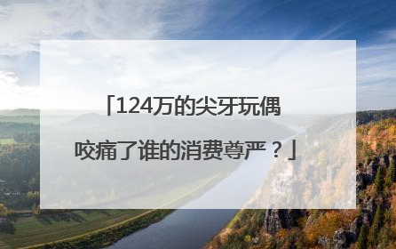 124万的尖牙玩偶 咬痛了谁的消费尊严？