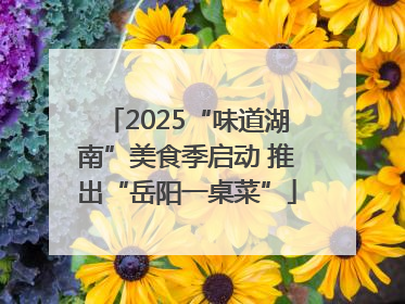 2025“味道湖南”美食季启动 推出“岳阳一桌菜”