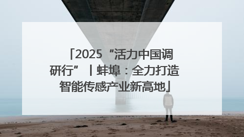 2025“活力中国调研行”丨蚌埠：全力打造智能传感产业新高地