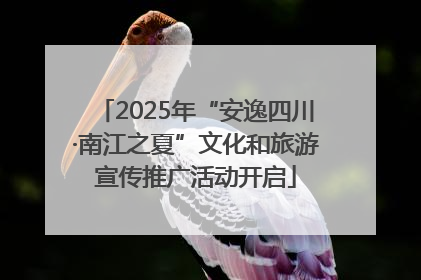 2025年“安逸四川·南江之夏”文化和旅游宣传推广活动开启