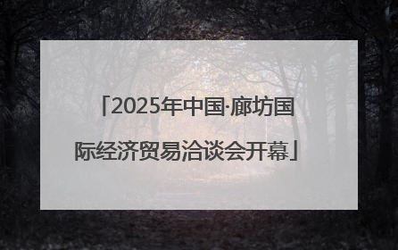 2025年中国·廊坊国际经济贸易洽谈会开幕