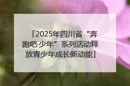 2025年四川省“奔跑吧·少年”系列活动释放青少年成长新动能
