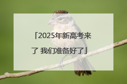 2025年新高考来了 我们准备好了