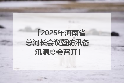2025年河南省总河长会议暨防汛备汛调度会召开