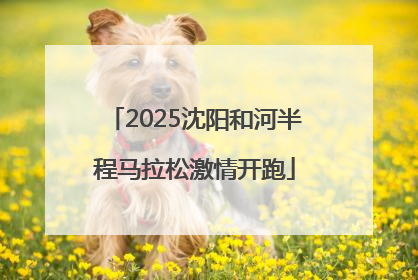 2025沈阳和河半程马拉松激情开跑