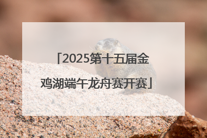 2025第十五届金鸡湖端午龙舟赛开赛