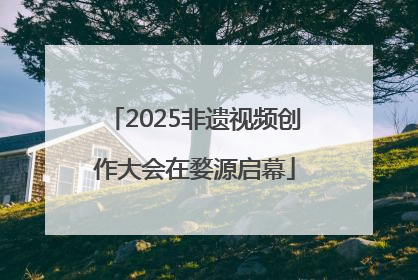 2025非遗视频创作大会在婺源启幕