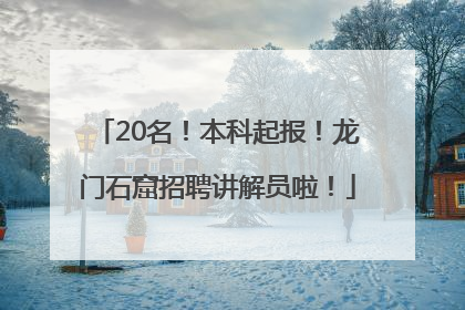 20名！本科起报！龙门石窟招聘讲解员啦！