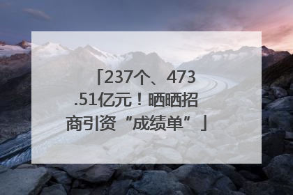 237个、473.51亿元！晒晒招商引资“成绩单”