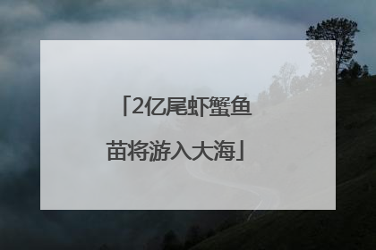 2亿尾虾蟹鱼苗将游入大海