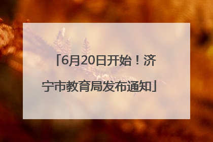 6月20日开始！济宁市教育局发布通知