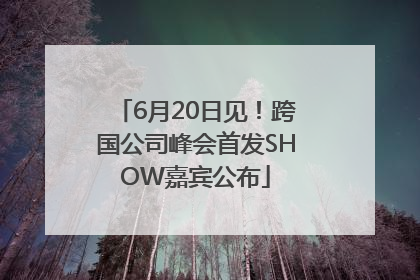 6月20日见！跨国公司峰会首发SHOW嘉宾公布