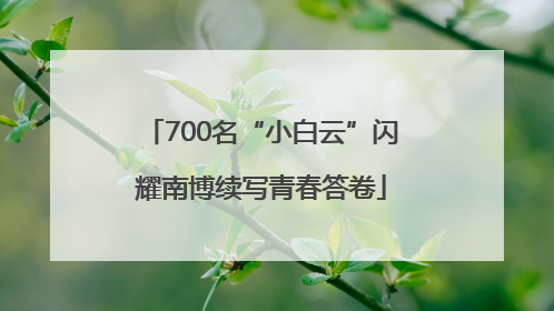 700名“小白云”闪耀南博续写青春答卷