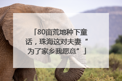 80亩荒地种下童话，珠海这对夫妻“为了家乡我愿意”