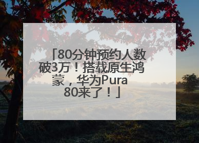 80分钟预约人数破3万！搭载原生鸿蒙，华为Pura 80来了！