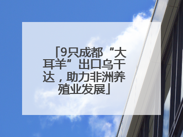 9只成都“大耳羊”出口乌干达，助力非洲养殖业发展