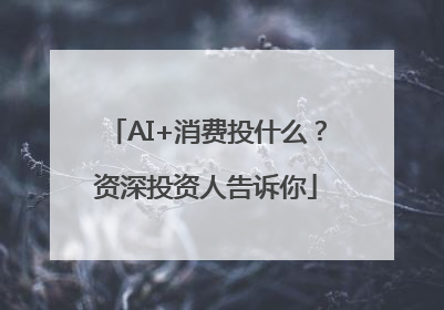 AI+消费投什么？资深投资人告诉你
